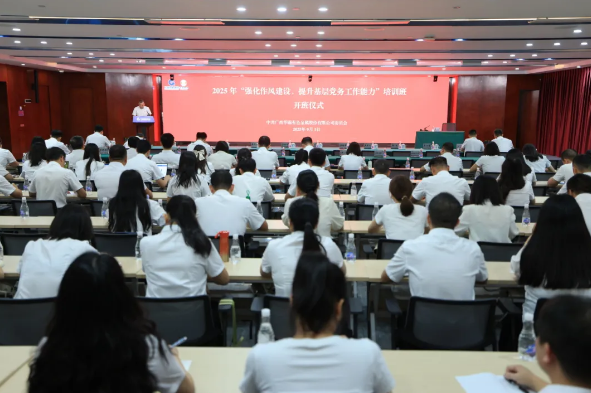 锤炼过硬作风 筑牢战斗堡垒 ——AGGAME有色2025年“强化作风建设，提升基层党务工作能力”培训班圆满举办