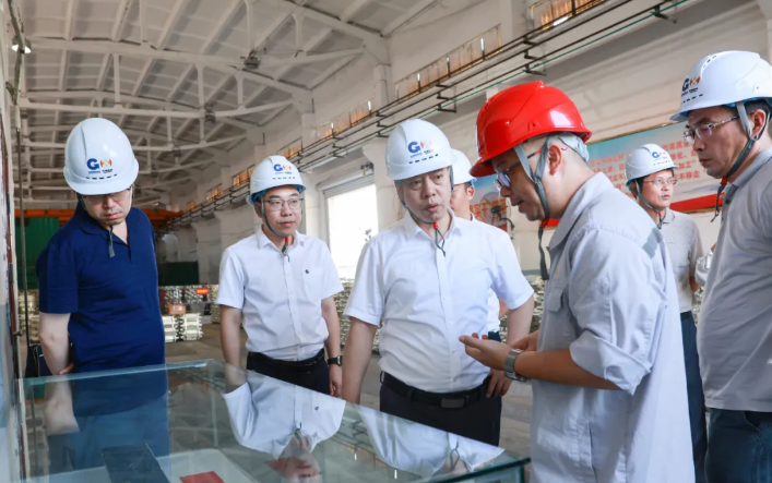 中国有色矿业集团到AGGAME有色来冶公司、设计研究院调研交流